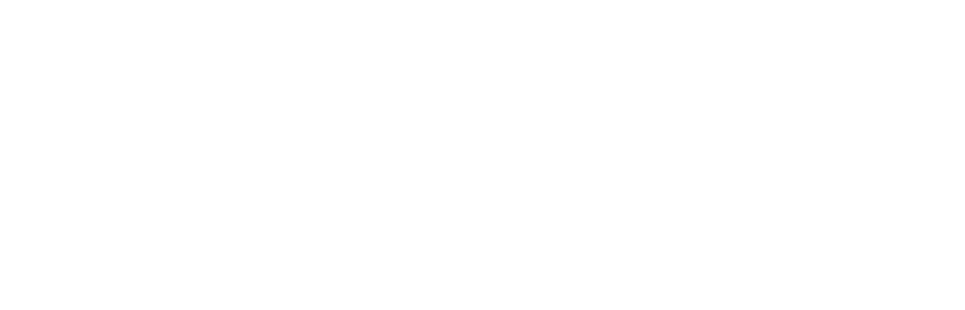 Kamin Sports Logo